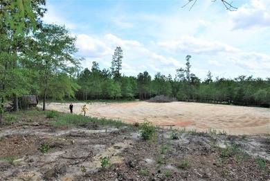 (private lake, pond, coastal) Lot Sale Pending in Trenton South Carolina