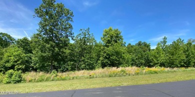 Lake Lot For Sale in Rockwood, Tennessee