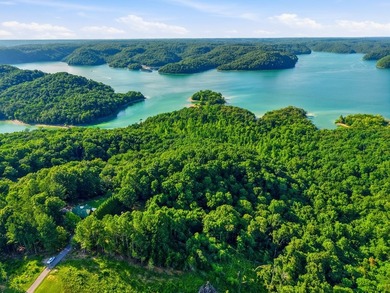 Beautiful log home overlooking the breathtaking waters of Dale - photo 32