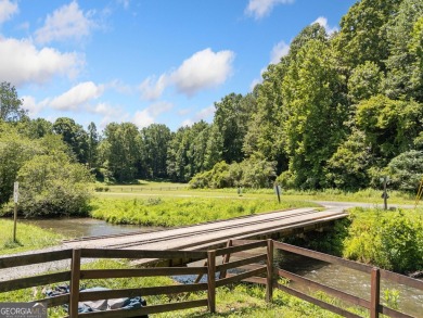 Lake Acreage For Sale in Ellijay, Georgia