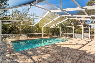 (private lake, pond, coastal) Home Sale Pending in Weeki Wachee Florida