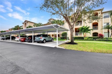 Lake Condo For Sale in Naples, Florida