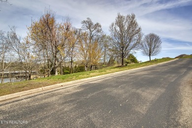 ONE OF THE LAST AVAILABLE gently-sloped LAKEFRONT LOTS left in