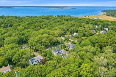 Set on one of the most desirable streets in Sag Harbor Village - photo 5