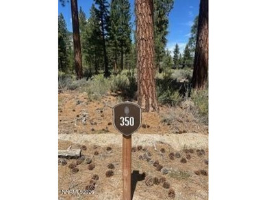 Build your dream mountain retreat in the exclusive community of - photo 13