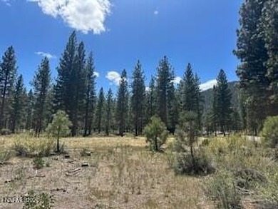 Build your dream mountain retreat in the exclusive community of - photo 14