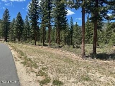 Build your dream mountain retreat in the exclusive community of - photo 16