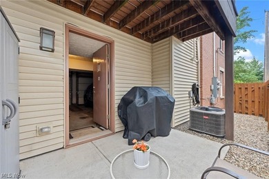 Live on one of Ohio City's most photographed historic streets!! - photo 48