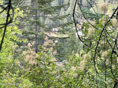 Lake Lot For Sale in Saint Maries, Idaho