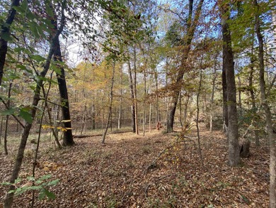 Lake Lot For Sale in Jefferson, Texas