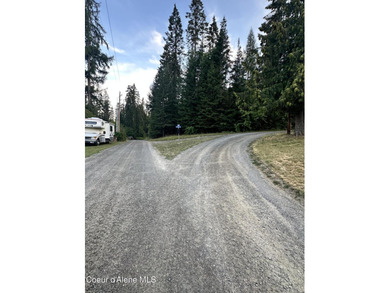 This peaceful .29-acre lot, offering a blend of privacy and - photo 3
