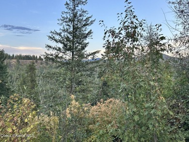 This peaceful .29-acre lot, offering a blend of privacy and - photo 4