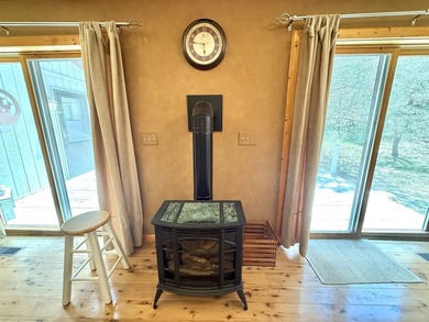 Surrounded by towering pines and overlooking a private pond - photo 18