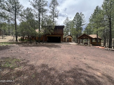 Lake Home For Sale in Show Low, Arizona