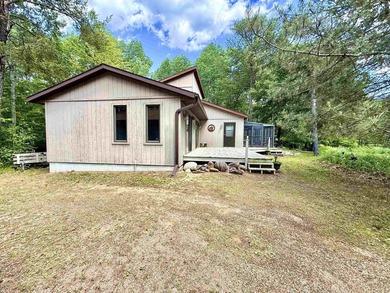 Surrounded by towering pines and overlooking a private pond - photo 33
