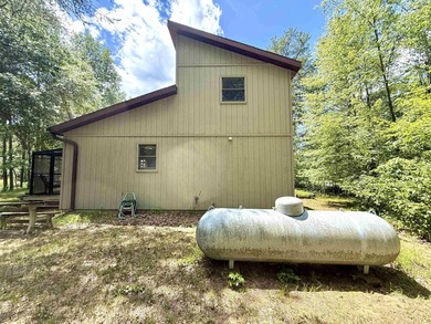 Surrounded by towering pines and overlooking a private pond - photo 34