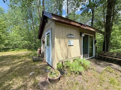 Surrounded by towering pines and overlooking a private pond - photo 39