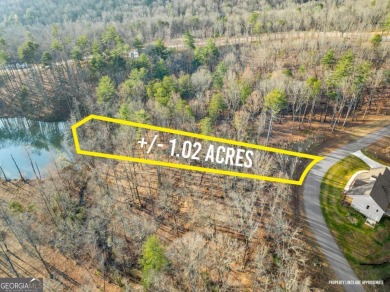 Lake Lot For Sale in Sautee Nacoochee, Georgia