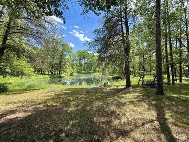 Surrounded by towering pines and overlooking a private pond - photo 43