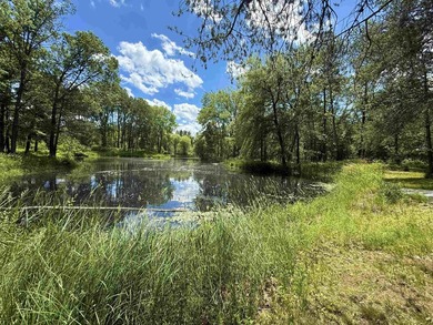 Surrounded by towering pines and overlooking a private pond - photo 44
