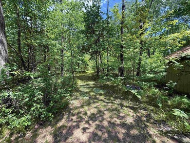 Surrounded by towering pines and overlooking a private pond - photo 45