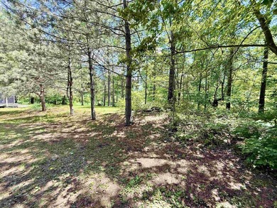 Surrounded by towering pines and overlooking a private pond - photo 46