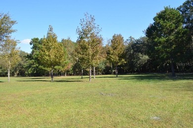 Lake Jesup  Acreage For Sale in Sanford Florida