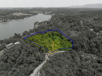 Douglas Lake Acreage For Sale in Sevierville Tennessee