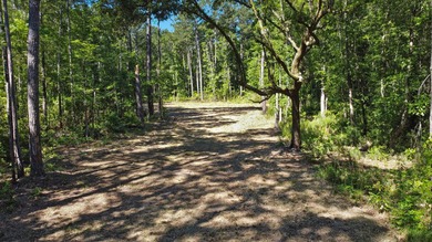 DON'T MISS OUT ON THIS GORGEOUS PROPERTY! NO HOA.Backing up to - photo 11