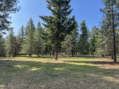 Remodeled home only 5 miles from Colville overlooking the south - photo 34