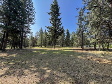 Remodeled home only 5 miles from Colville overlooking the south - photo 35