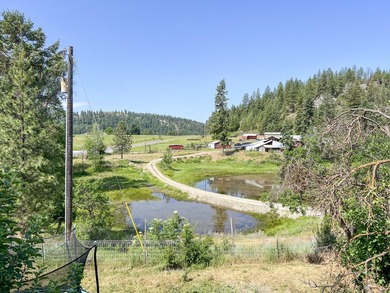 Remodeled home only 5 miles from Colville overlooking the south - photo 36