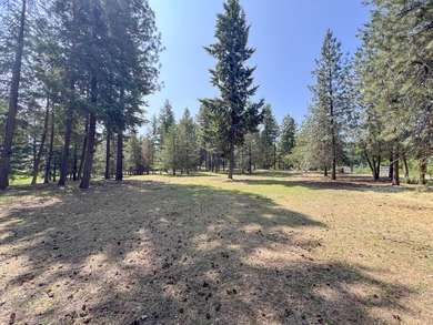 Remodeled home only 5 miles from Colville overlooking the south - photo 42