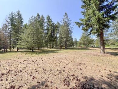 Remodeled home only 5 miles from Colville overlooking the south - photo 43