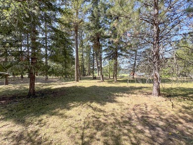 Remodeled home only 5 miles from Colville overlooking the south - photo 44