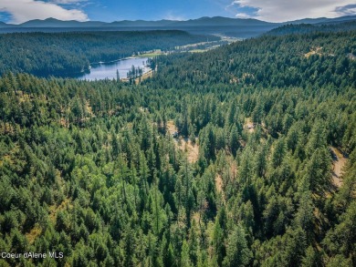 Lake Acreage For Sale in Athol, Idaho