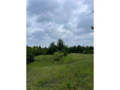 Lake Acreage For Sale in Windom, Texas