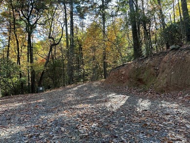 Discover the possibilities with this 8.07-acre mountain property - photo 11