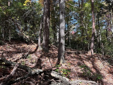 Discover the possibilities with this 8.07-acre mountain property - photo 14