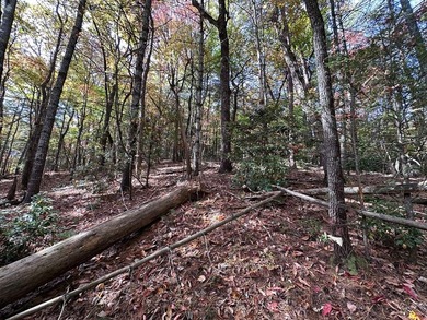Discover the possibilities with this 8.07-acre mountain property - photo 15