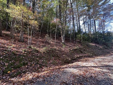 Discover the possibilities with this 8.07-acre mountain property - photo 22