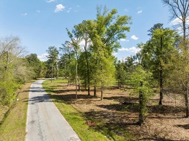 AMAZING, HUGE 2.59 ACRE CLEARED WATER FRONT LOT ON LAKE - photo 3