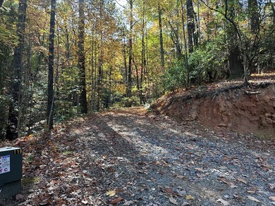 Discover the possibilities with this 8.07-acre mountain property - photo 23