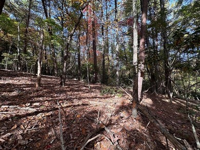 Discover the possibilities with this 8.07-acre mountain property - photo 24