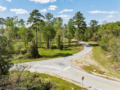 AMAZING, HUGE 2.59 ACRE CLEARED WATER FRONT LOT ON LAKE - photo 5