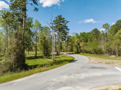 AMAZING, HUGE 2.59 ACRE CLEARED WATER FRONT LOT ON LAKE - photo 6