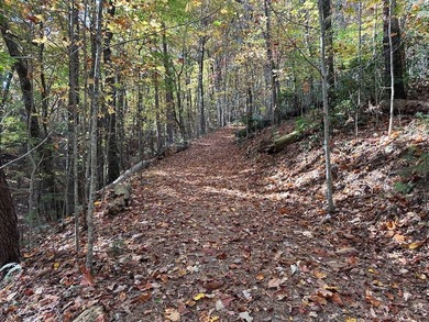 Discover the possibilities with this 8.07-acre mountain property - photo 26