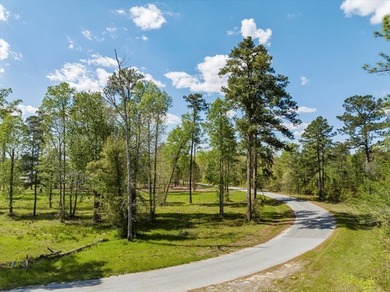 AMAZING, HUGE 2.59 ACRE CLEARED WATER FRONT LOT ON LAKE - photo 7