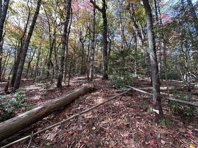 Discover the possibilities with this 8.07-acre mountain property - photo 27