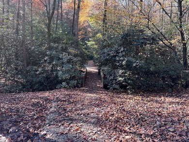 Discover the possibilities with this 8.07-acre mountain property - photo 28